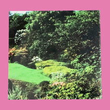 Fisher Price Loving Family Special Edition Townhouse Window Film Replacement